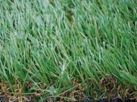 High-quality artificial grass Plastic lawn