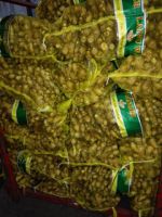 sell fresh ginger