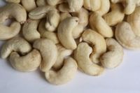 SALT ROASTED CASHEW NUT GOOD PRICE