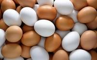 Fresh brown and white Chicken Eggs