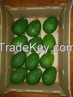 SELL FRUITS EXOTICS  AND VEGETABLES