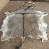 AIR DRIED DONKEY HIDES