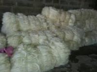 WHITE SISAL FIBRES UG GRADE A