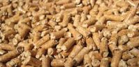 Wood Pellets Grade A and Charcoal