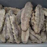 Dried Sea Cucumber