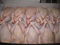 Frozen Halal Whole Chicken and Paws for Sale