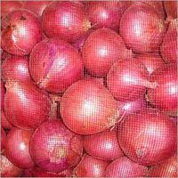 Fresh Red Onions