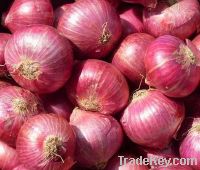 Sell  red onion