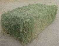 ALFAALFA HAY BALES of HIGH QUALITY Grade A Alfafa Hay Bales / Grade A HOT SALES