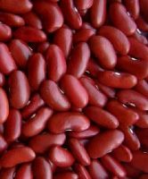 Red Kidney Beans