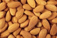 Raw Almonds Nuts, delicious and healthy Raw Almonds Nuts Almond/Apricot Kernels