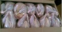 Halal Frozen Whole Chicken and Parts