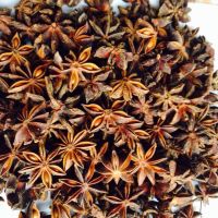 STAR ANISE WITH COMPETITIVE PRICE AND HIGH QUALITY