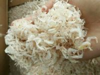 Dried Baby Shrimp in Viet Nam