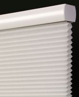 Cordless Cellular Shades \ Blinds