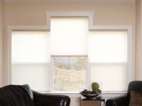 Pleated Shades - Cordless