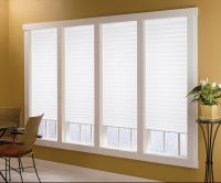 Temporary Pleated Shades / Blinds