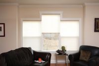 Cordless Pleated Shades and Blinds