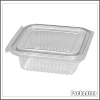 Customized blister process disposable clear food packaging box