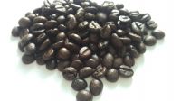 AAA roasted robusta coffee beans grade 1 screen 18