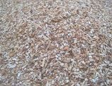 Wood Sawdust- Good Price