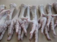 Processed Frozen Chicken Feet/Paws From europe