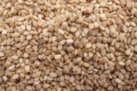 White Sesame Seeds