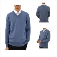 Man's pure cashmere v-neck long sleeve pullover sweater