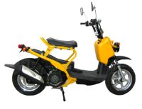 Sell 125cc scooters (swith horse)