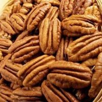 Grade A Premium Quality Pecan Nuts For Sale