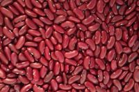 High quality low price healthy food nutritious delicious  kidney Beans