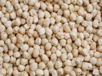 Chick Peas