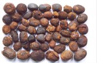 Ox/ Cow Gallstones, Bitter Kola