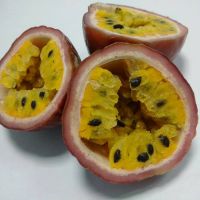 fresh passion fruit frozen fruit