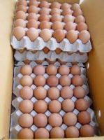 Grade A Brown Fresh Chicken Table Eggs