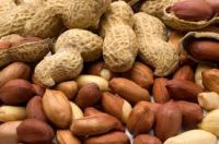 peanuts, cashew nuts, walnuts, almond nuts, cardamon spices