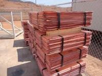 Best selling for 99.99% Copper Cathode