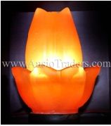 Fancy Flower Shape Salt Lamp - 5"x6"