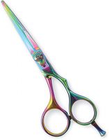 Professional hair Scissors