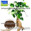 Sell Kudzu Extract