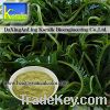 Sell Wakame Extract (5%-10% Fucoxanthin)