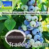 Sell Blueberry Extract(Anthocyanin 5%-70%)