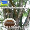 Sell White Willow Bark Extract (10%-98%Salicin)