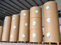 Wholesale white printing woodfree offset paper in roll