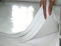 Good Price Glossy Coated Paper In Sheet On Sale