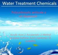 Sell Acrylic Acid-2-Acrylamido-2-Methylpropane Sulfonic Acid Copolymer (AA/AMPS)