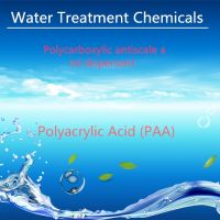 Sell Polyacrylic Acid (PAA)