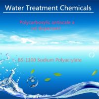 Sell Structural Formula:   BS-1100 Sodium Polyacrylate