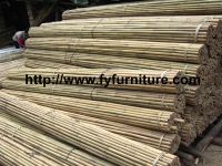 Bamboo Canes, Bamboo Sticks, Bamboo Poles