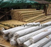Tea Pole Bamboo,Tsinglee bamboo,Tonkin Bamboo,Bamboo Canes,Bamboo pole